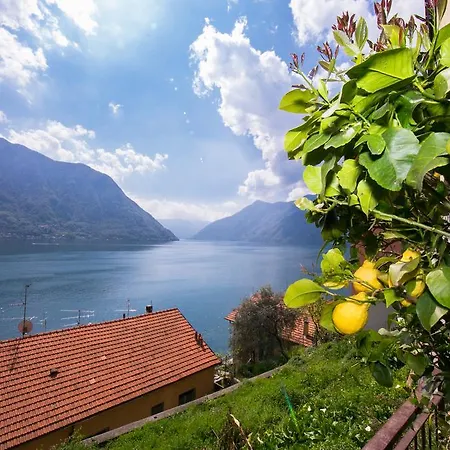 Bella Lake View
